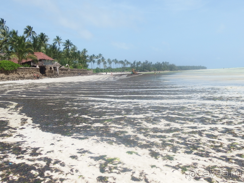 фото Asutay Hotel