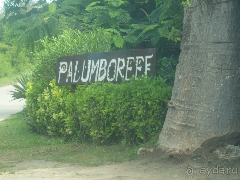 фото Asutay Hotel