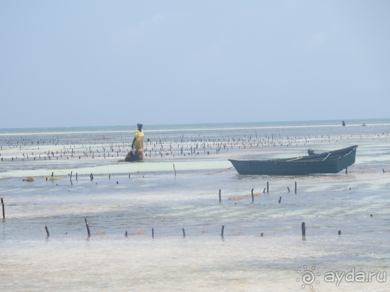 фото Asutay Hotel