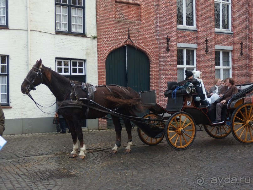 Самостоятельно по Европе:Барселона, Париж, Брюгге, Гент, Брюссель.Обмен опытом.