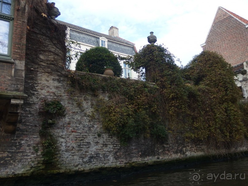 ПО КАНАЛАМ РЕКИ РОЯ