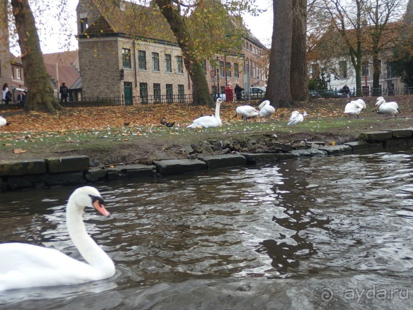 Самостоятельно по Европе:Барселона, Париж, Брюгге, Гент, Брюссель.Обмен опытом.