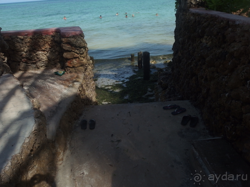 Занзибар. Отель Palumbo Reef.