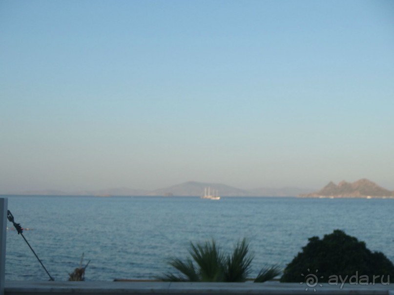 вид из окна