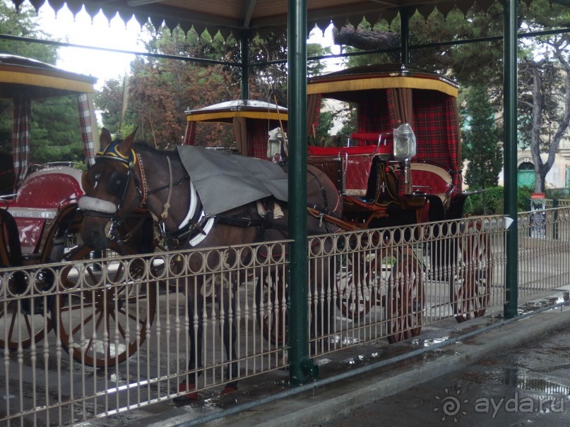 Самостоятельно на Мальту. Мдина.