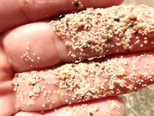 Альбом отзыва "Мармарис. Экскурсия на остров Клеопатры."