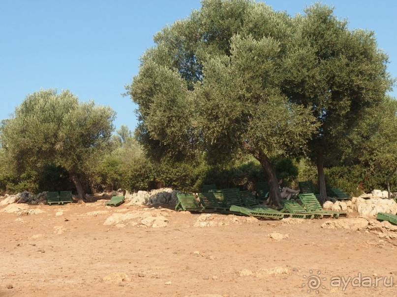 Альбом отзыва "Мармарис. Экскурсия на остров Клеопатры."