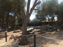 Альбом отзыва "Мармарис. Экскурсия на остров Клеопатры."