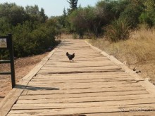 Альбом отзыва "Мармарис. Экскурсия на остров Клеопатры."