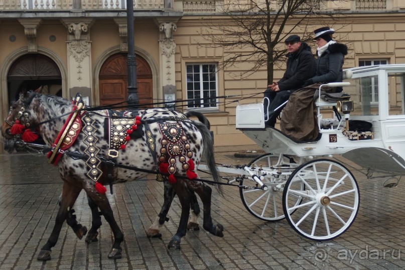 Самостоятельно в Варшаву и в Краков.