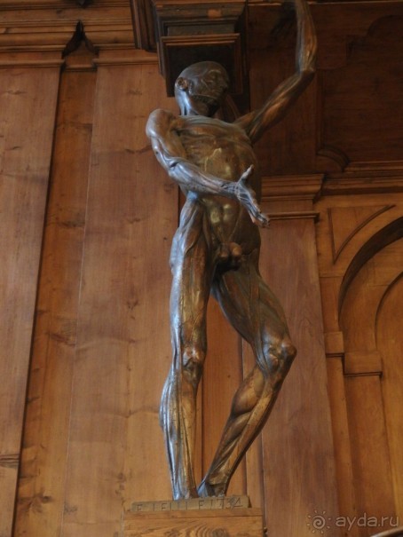 Самостоятельно в Италию. Болонья.