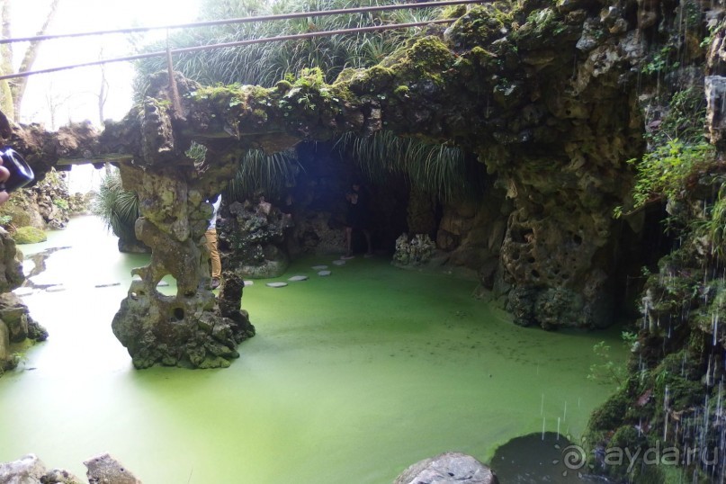 кинта. аквариум