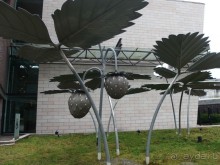 Самостоятельно в Хельсинки