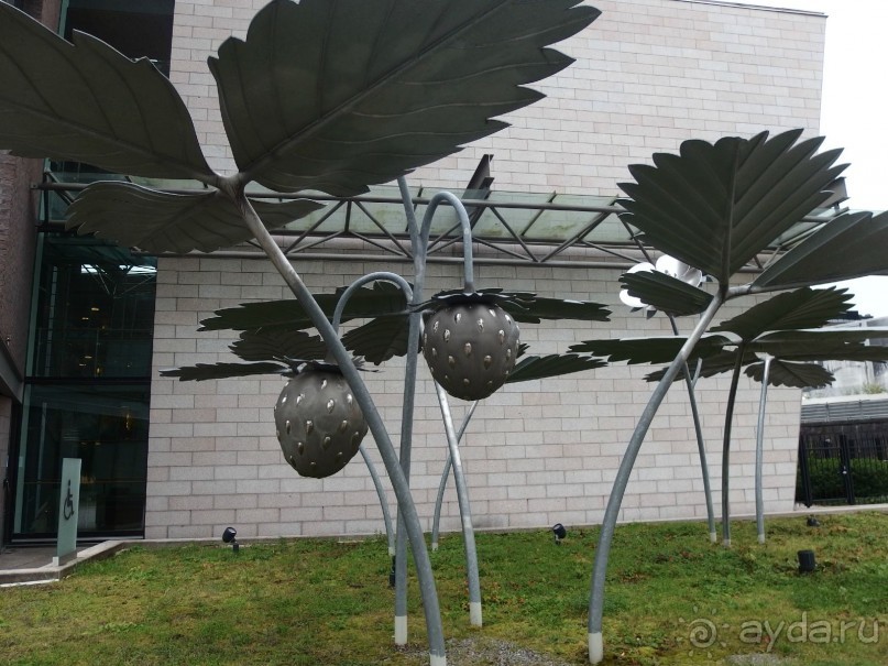 Самостоятельно в Хельсинки