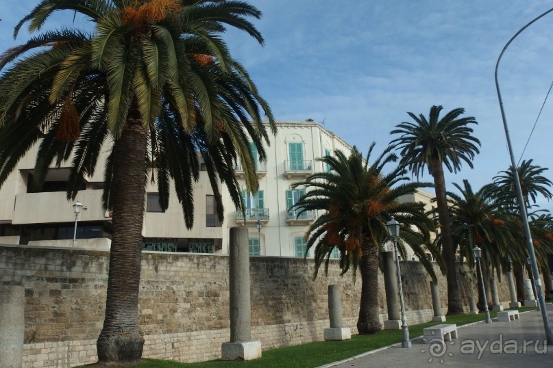 Альбом отзыва "Самостоятельно в Бари. Италия."