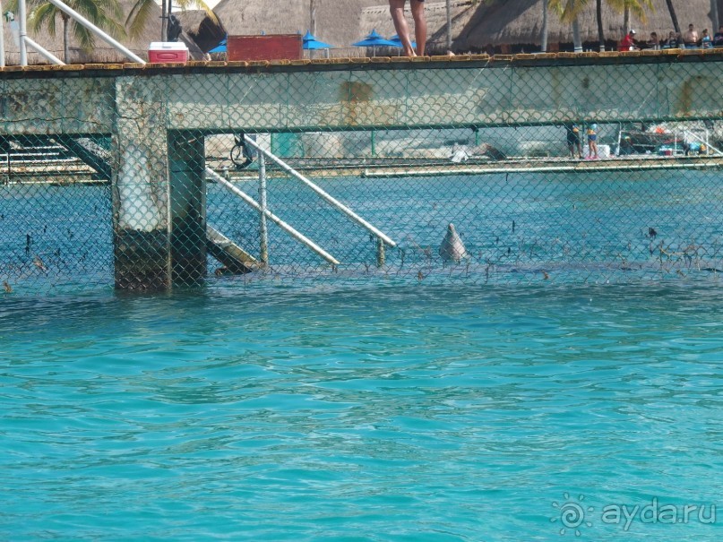 Мексика. Канкун. .