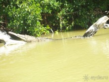 Альбом отзыва "Мексика. Канкун. ."