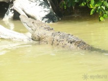 Мексика. Канкун. .