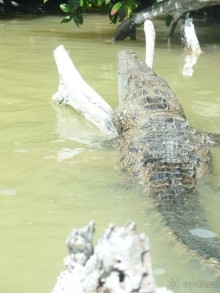 Альбом отзыва "Мексика. Канкун. ."