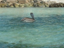 Альбом отзыва "Мексика. Канкун. ."