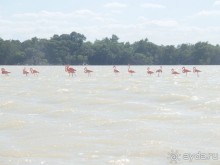 Мексика. Канкун. .