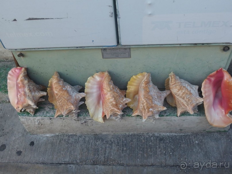 Мексика. Канкун. .