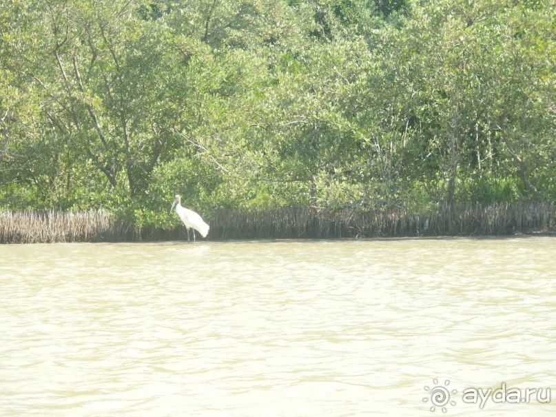 Мексика. Канкун. .