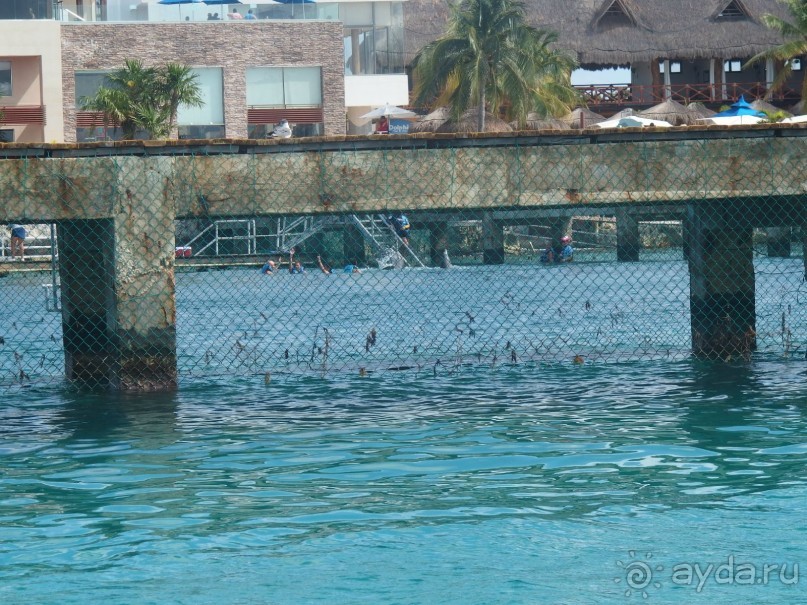 Мексика. Канкун. . Мексика. Канкун. .