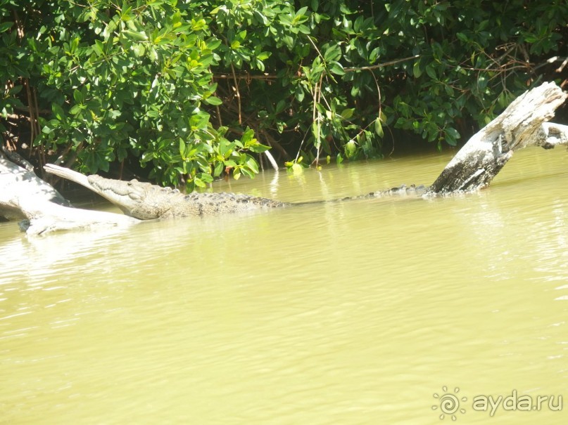 Мексика. Канкун. .