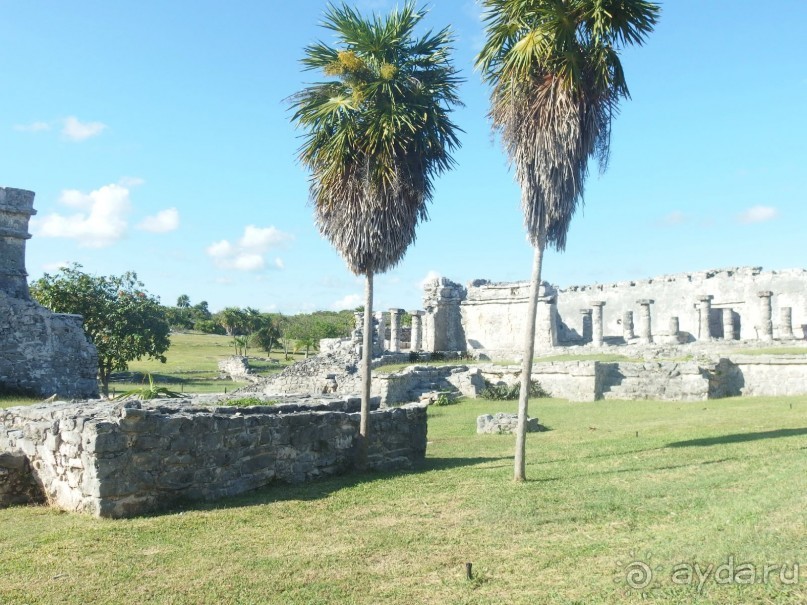 Мексика. Канкун. .