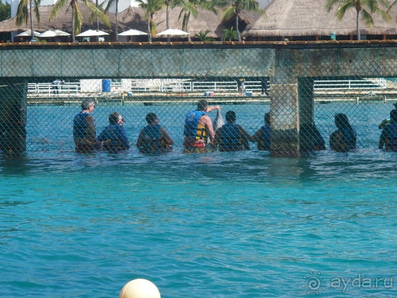 Мексика. Канкун. .