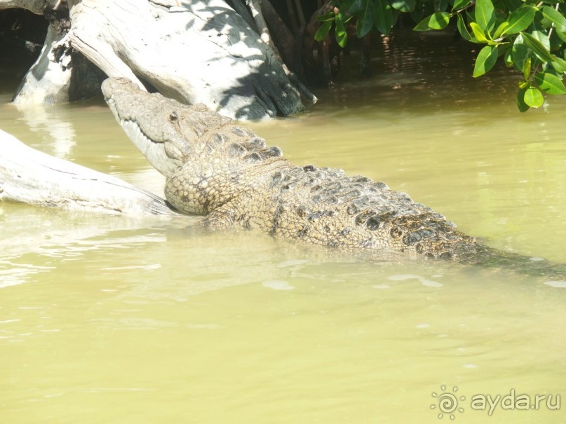 Мексика. Канкун. . Мексика. Канкун. .
