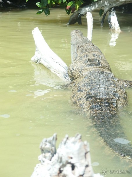 Мексика. Канкун. .