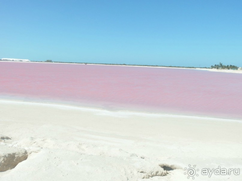 Мексика. Канкун. . Мексика. Канкун. .