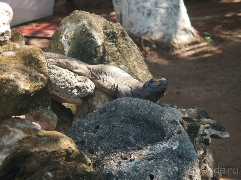 Мексика. Канкун. .