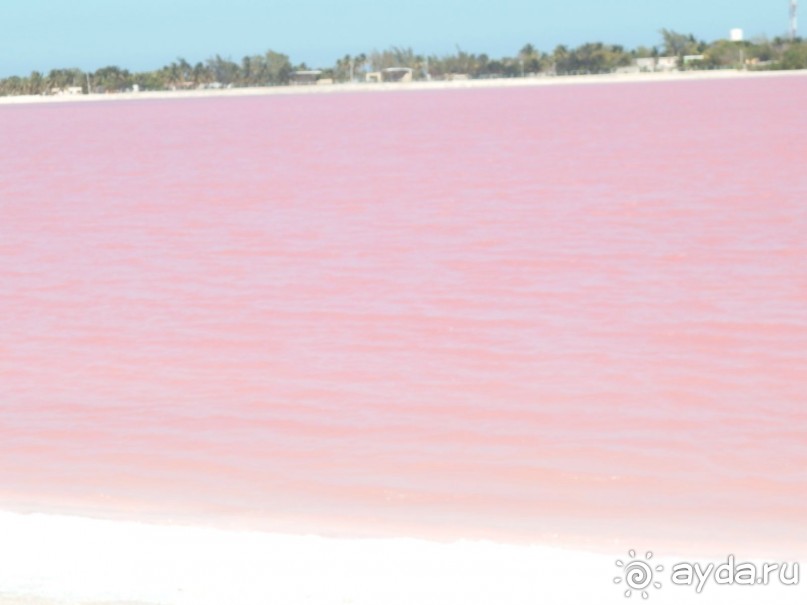 Мексика. Канкун. . Мексика. Канкун. .