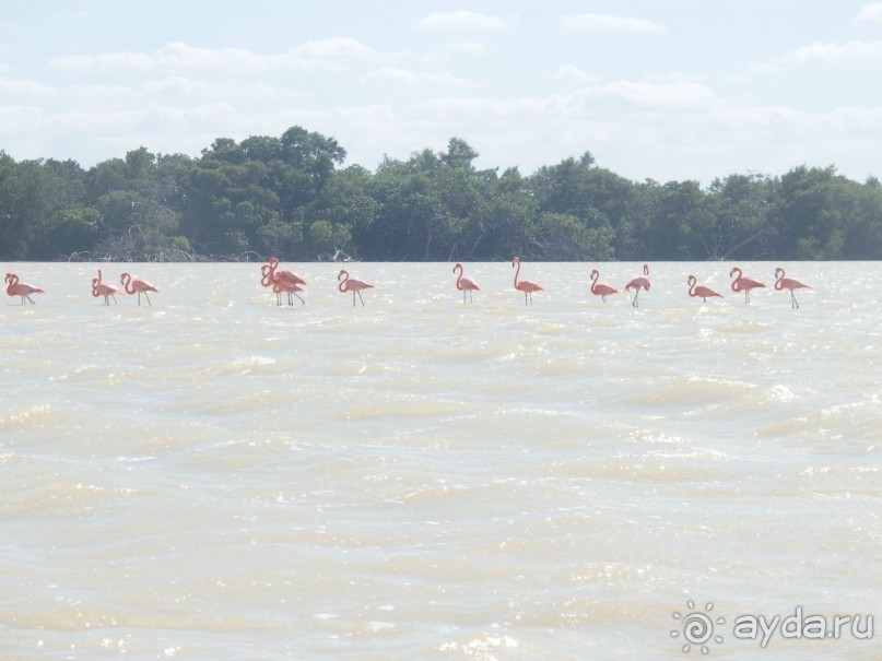 Мексика. Канкун. . Мексика. Канкун. .