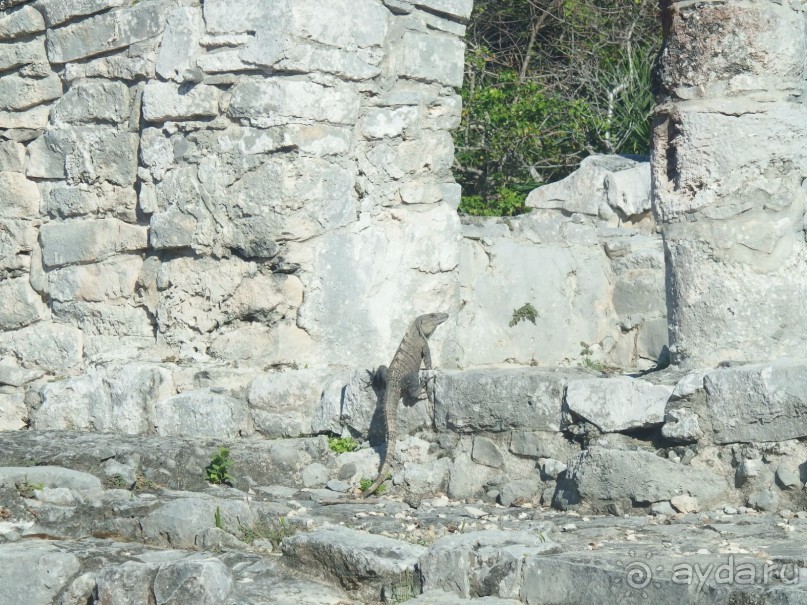 Мексика. Канкун. . Мексика. Канкун. .