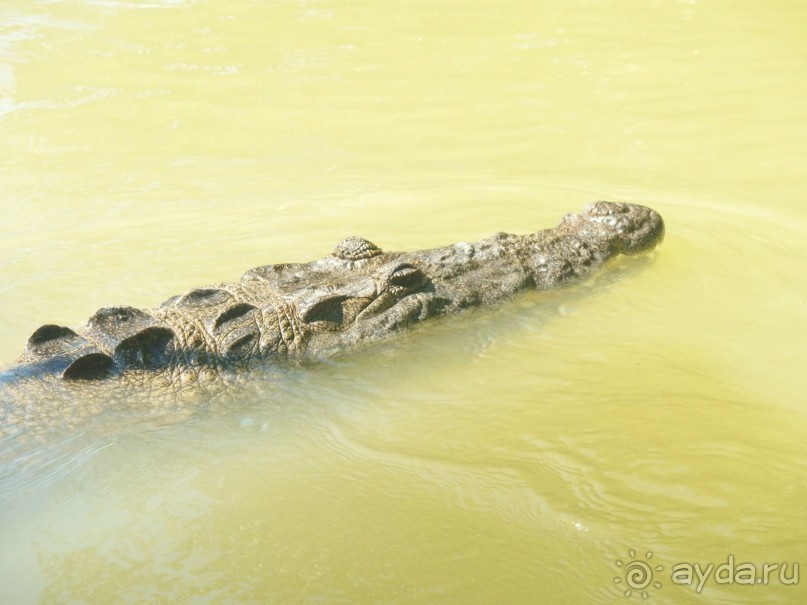 Мексика. Канкун. . Мексика. Канкун. .