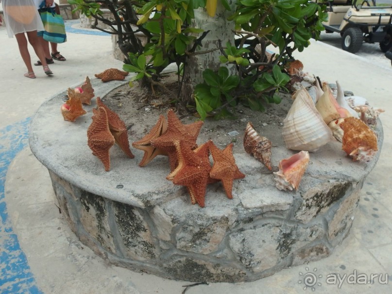 Мексика. Канкун. .