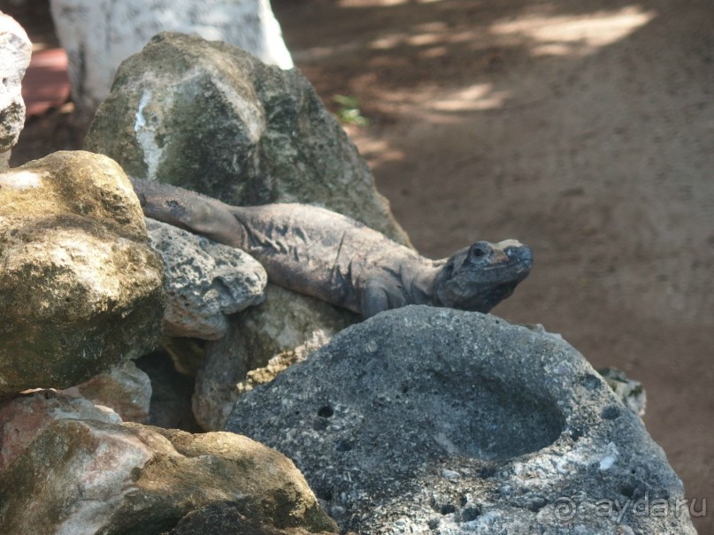Мексика. Канкун. .