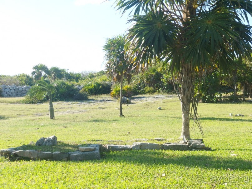 Мексика. Канкун. .