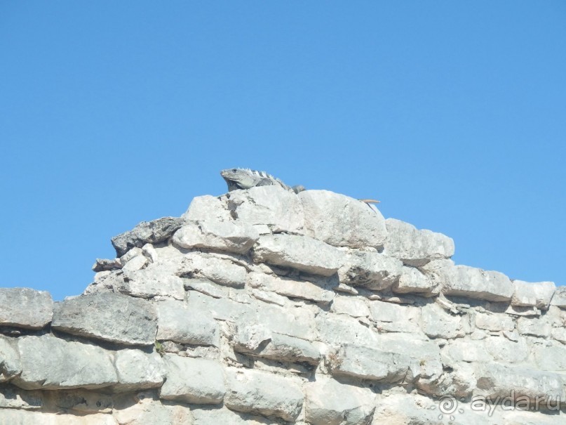 Мексика. Канкун. .