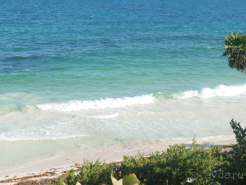 Мексика. Канкун. .