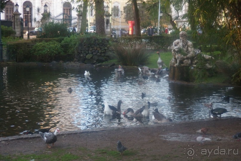 Самостоятельно в Португалию. Лиссабон.