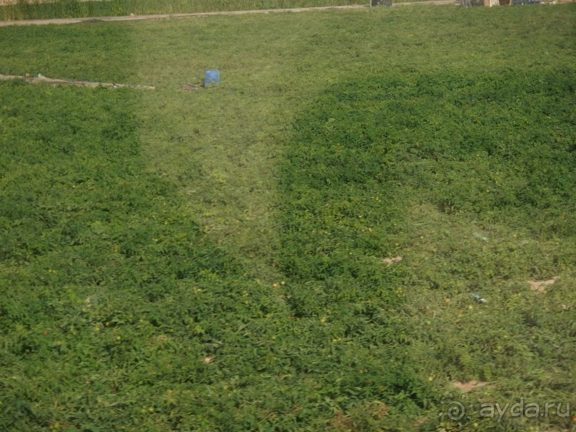 Иордания. Акаба, Мертвое море, Иордан, Источники Хаммамат, Петра, пустыня Вуди Рам