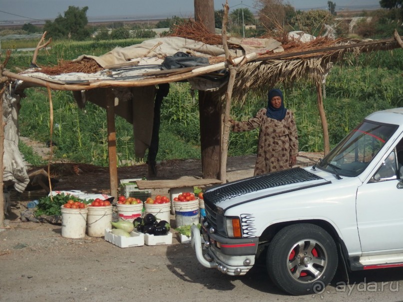 Иордания. Акаба, Мертвое море, Иордан, Источники Хаммамат, Петра, пустыня Вуди Рам