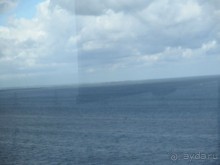 Самостоятельно в Мальмё.