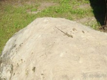 Самостоятельно на Сицилию.Палермо, Сиракузы, Катания.(Сиракузы)