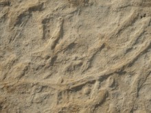 Самостоятельно на Мальту. Остров Гоцо.